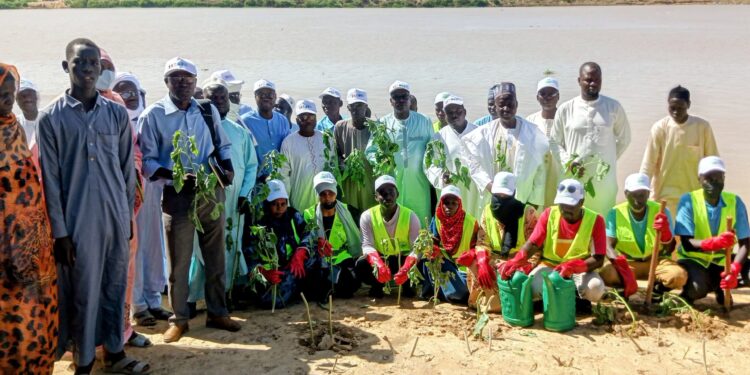 N’Djaména : Une ceinture verte de 3 km pour protéger les riverains du Chari contre les inondations