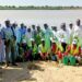 N&rsquo;Djaména : Une ceinture verte de 3 km pour protéger les riverains du Chari contre les inondations