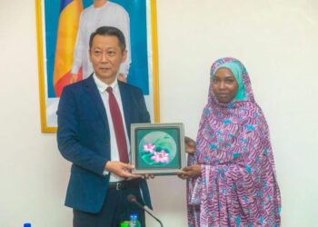 Tchad : La Ministre de l&rsquo;aviation civile reçoit une délégation de Red Flag Industrial Limited