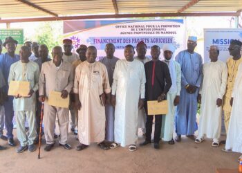 Campagne agricole 2026-2027 au Tchad : l’ONAPE poursuit sa mission de financement dans la province du Mandoul