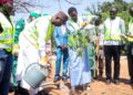 Moundou : L’Initiative Verte de la Cotontchad SN lancée pour promouvoir l’agriculture durable