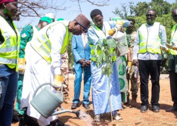 Moundou : L’Initiative Verte de la Cotontchad SN lancée pour promouvoir l’agriculture durable