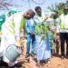 Moundou : L’Initiative Verte de la Cotontchad SN lancée pour promouvoir l’agriculture durable