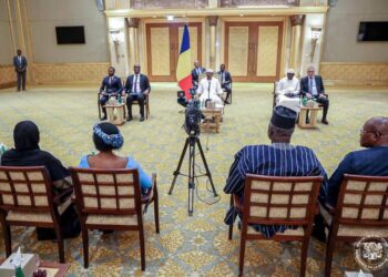 Diplomatie : Le Président Mahamat Idriss Déby Itno échange avec les ambassadeurs africains aux Émirats Arabes Unis