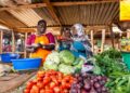 Sécurité sanitaire en Afrique : le CERFAM appelle à généraliser les solutions locales