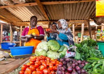 Sécurité sanitaire en Afrique : le CERFAM appelle à généraliser les solutions locales