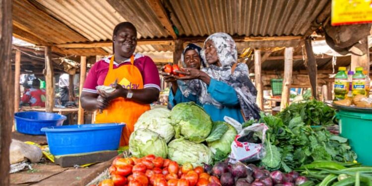 Sécurité sanitaire en Afrique : le CERFAM appelle à généraliser les solutions locales