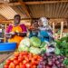 Sécurité sanitaire en Afrique : le CERFAM appelle à généraliser les solutions locales