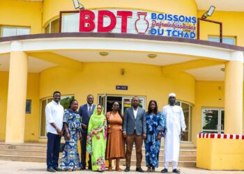 Tchad : Vers une participation active de la BDT au Forum National sur l’Emploi 2026