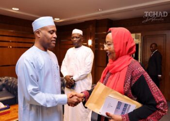 N&rsquo;Djaména s&rsquo;apprête à recevoir une mission diplomatique majeure de la CEEAC