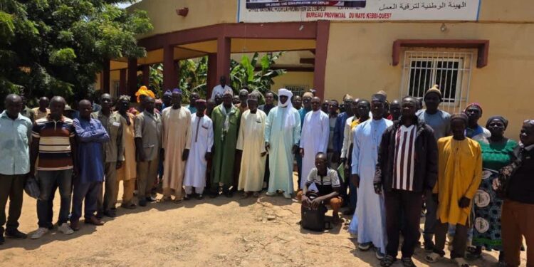 Pala : L’ONAPE mobilise plus de 97 millions de FCFA en faveur de l’agriculture dans le Mayo-Kebbi Ouest