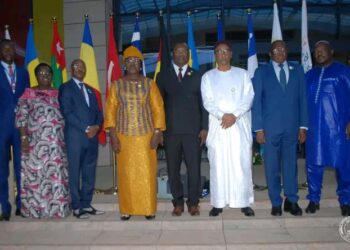 Participation du Tchad à la 51e Assemblée Parlementaire de la Francophonie à Yaoundé : Le climat et la sécurité au cœur des préoccupations nationales