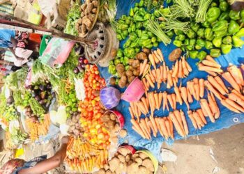 N&rsquo;djamena : La cherté des légumes, une inquiétude pour les ménages