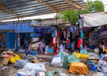 Tchad : À N&rsquo;Djamena, quelques jeunes diplômés considèrent l&rsquo;entrepreneuriat comme la solution au chômage