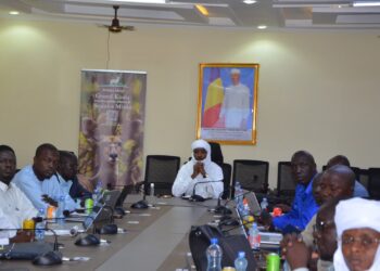 Tchad : Validation préalable du Plan d’action genre pour la Grande Muraille Verte