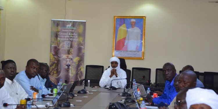 Tchad : Validation préalable du Plan d’action genre pour la Grande Muraille Verte