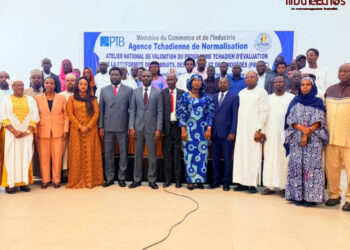Tchad : Ouverture de l’atelier National de Validation duPROTEC