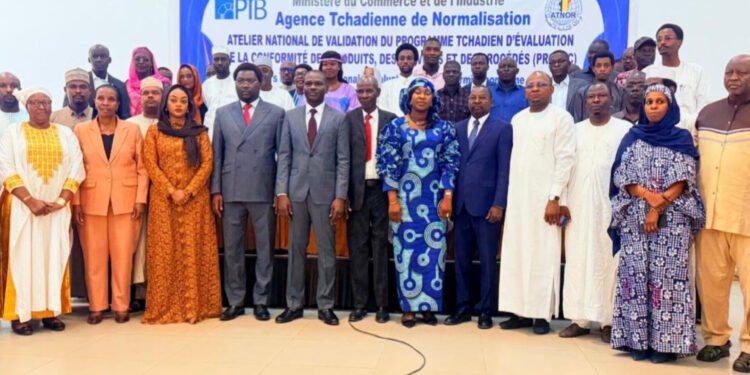 Tchad : Ouverture de l’atelier National de Validation duPROTEC