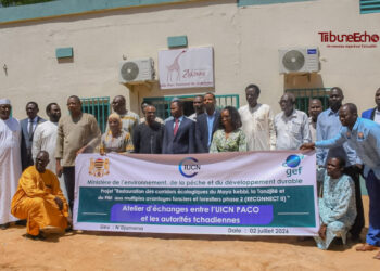 Tchad : Le gouvernement et l&rsquo;UICN lancent la deuxième phase du projet environnemental RECONNECT