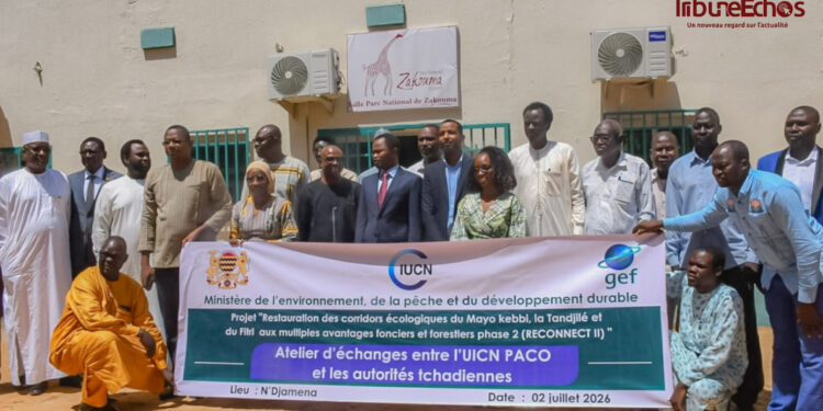 Tchad : Le gouvernement et l’UICN lancent la deuxième phase du projet environnemental RECONNECT