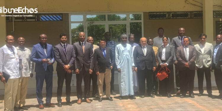 Tchad : L&rsquo;ITRAD explore un partenariat avec le leader indien MANORAMA pour développer la filière karité