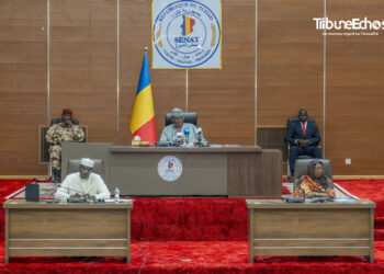 Tchad : Le Sénat adopte le projet de loi sur la transplantation rénale