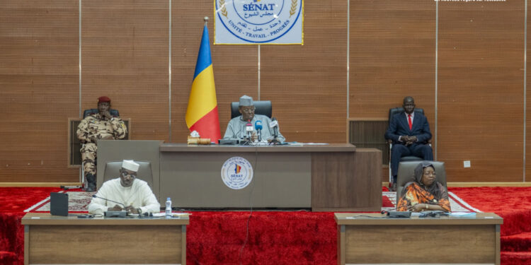 Tchad : Le Sénat adopte le projet de loi sur la transplantation rénale