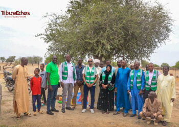 Tchad : Le Directeur Général de l’ANGMV évalue les avancées de la ferme agroécologique d’Alkoudou