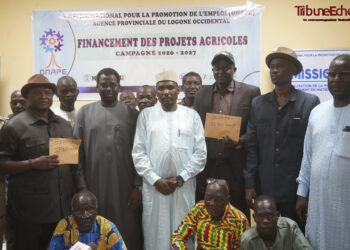 Logone Occidental : L&rsquo;ONAPE octroie une enveloppe de 53 000 000 pour la campagne agricole