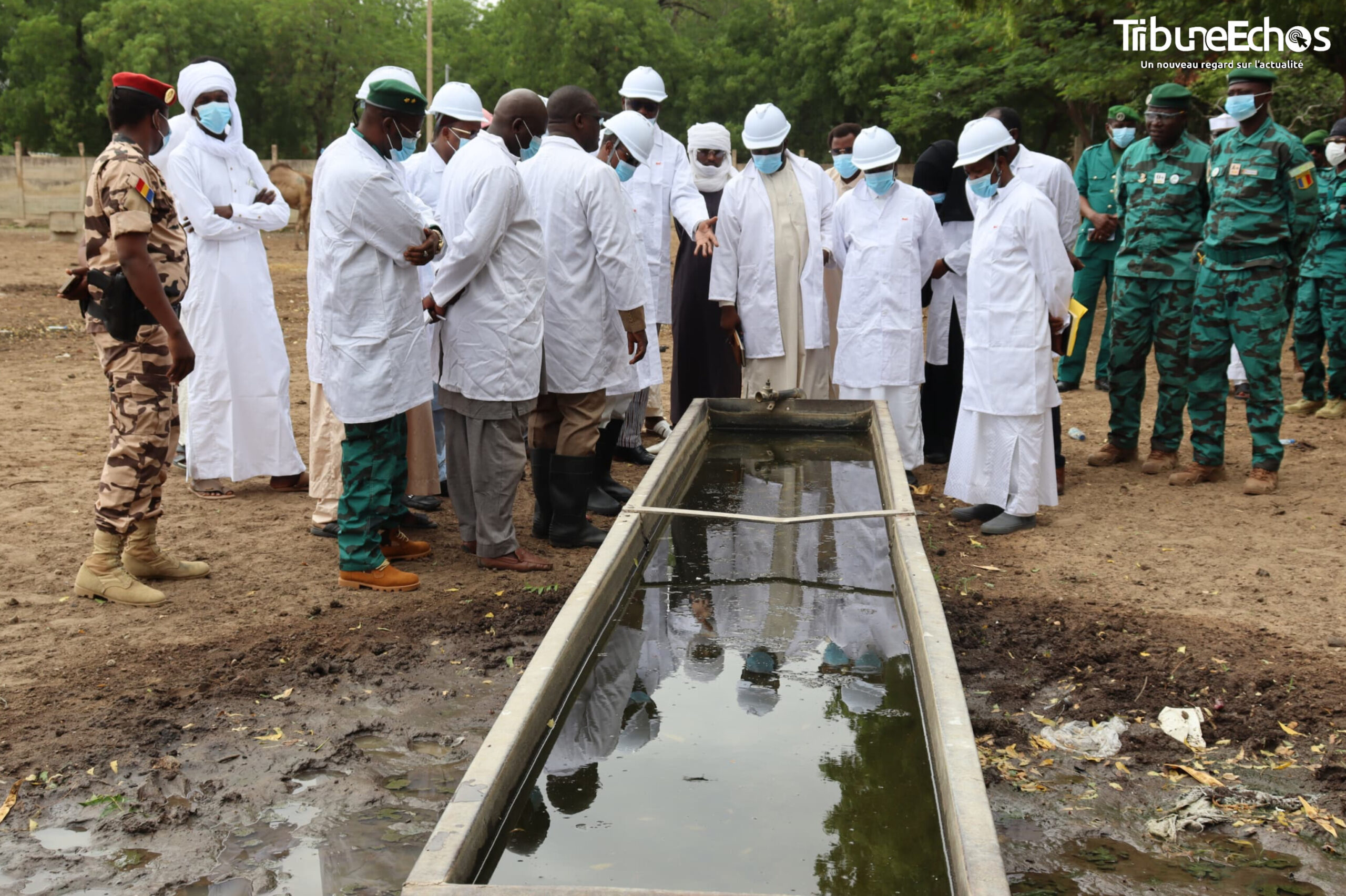 Tchad : Le Ministre de l’Environnement en visite de terrain à Damma Boucherie