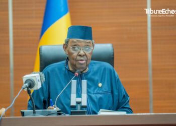 Tchad : Le Sénat autorise le gouvernement à légiférer par ordonnances durant les vacances parlementaires