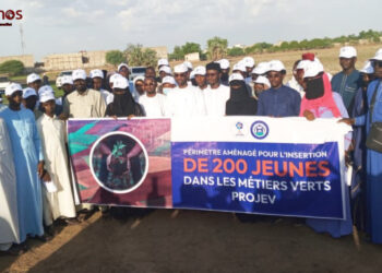 N&rsquo;djamena : L&rsquo;ONAPE et la Mairie misent sur la jeunesse pour relever le défi de l’emploi vert