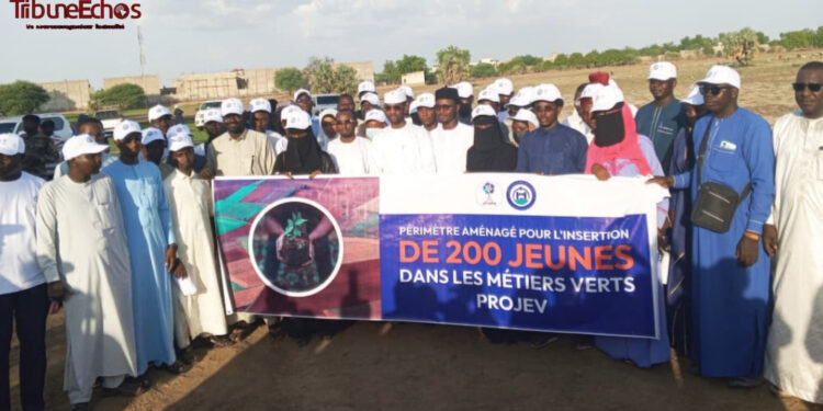 N’djamena : L’ONAPE et la Mairie misent sur la jeunesse pour relever le défi de l’emploi vert