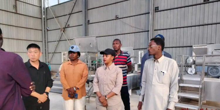 Tchad : L’ATNOR poursuit sa mission d’inspection