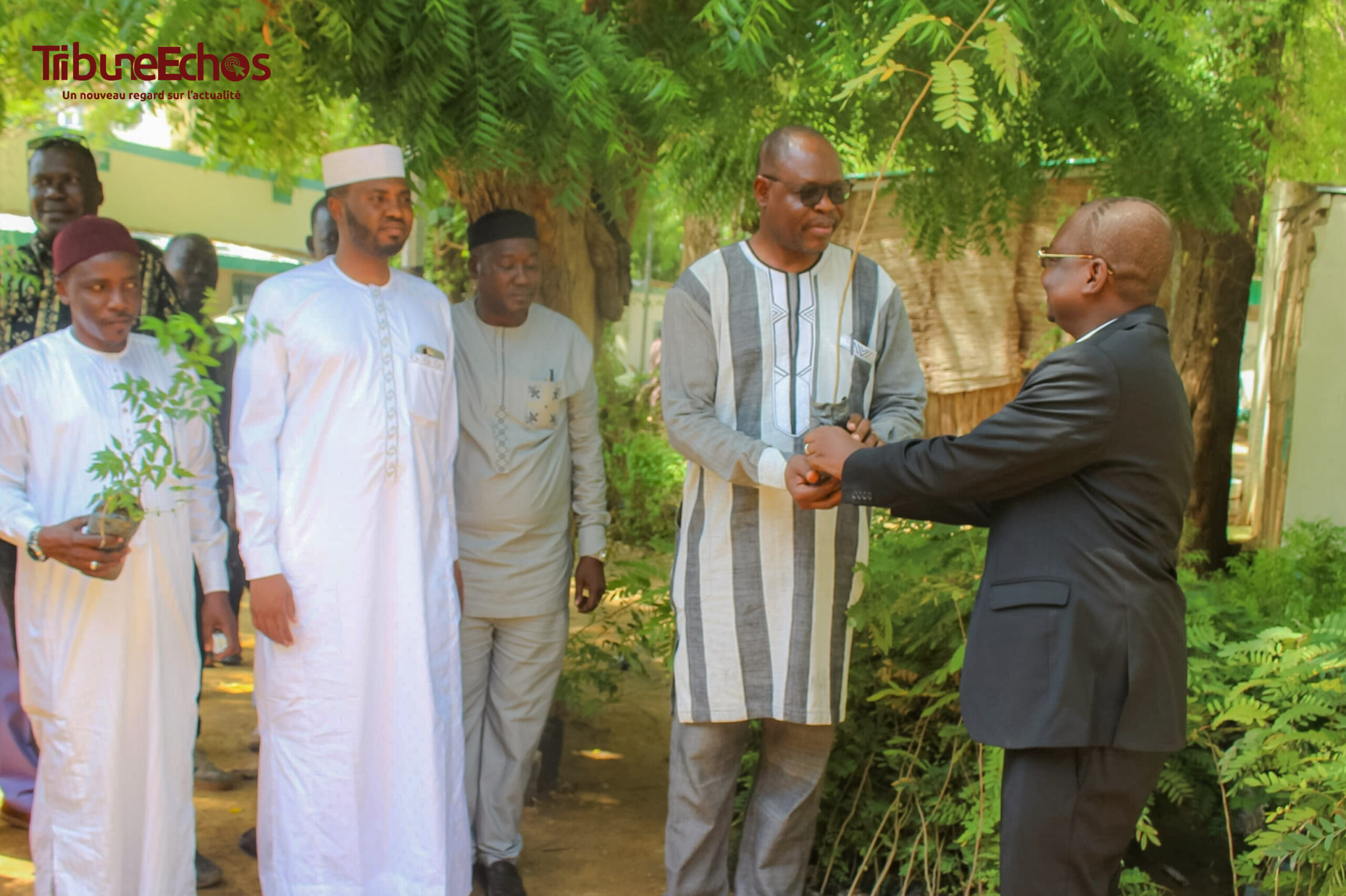 Tchad : La STDHTP appuie le ministère de l&rsquo;Environnement en prélude à la Semaine nationale de l&rsquo;arbre