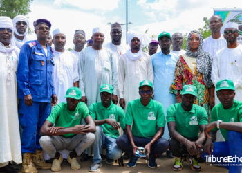 N’Djaména : Le 1er arrondissement renforce son couvert végétal avec la plantation de 60 palmiers dattiers