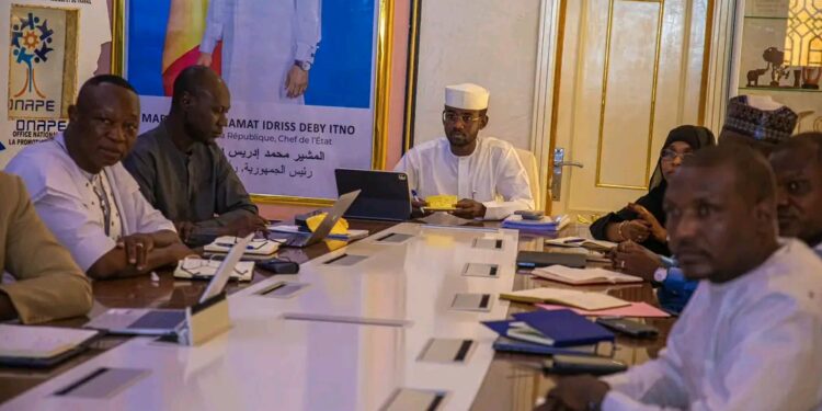 Tchad : L’ONAPE élabore la cartographie des employeurs et des bassins d’emploi pour mieux orienter la politique de l’emploi