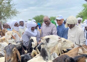 Tchad : À Karmé et Bisney, le Ministre de l&rsquo;élevage prend le pouls du monde pastoral