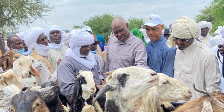 Tchad : À Karmé et Bisney, le Ministre de l&rsquo;élevage prend le pouls du monde pastoral