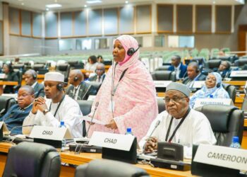 Diplomatie : Le Tchad plaide pour une Afrique unie au Parlement panafricain