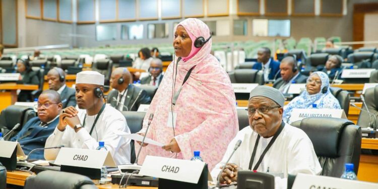 Diplomatie : Le Tchad plaide pour une Afrique unie au Parlement panafricain