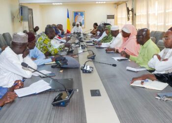 Tchad : Évaluation de la riposte contre le choléra et renforcement des actions sur le terrain