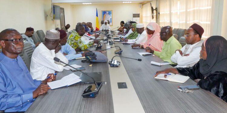 Tchad : Évaluation de la riposte contre le choléra et renforcement des actions sur le terrain