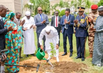 Tchad : Lancement de la Semaine nationale de l’Arbre édition 2026, quel avenir pour les jeunes plants mis en terre ?