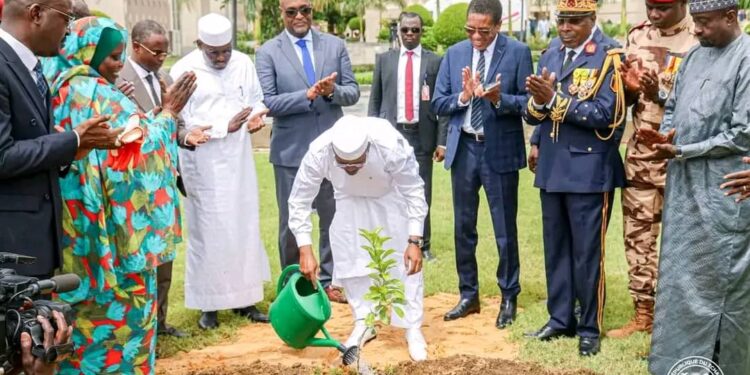 Tchad : Lancement de la Semaine nationale de l’Arbre édition 2026, quel avenir pour les jeunes plants mis en terre ?