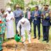 Tchad : Lancement de la Semaine nationale de l’Arbre édition 2026, quel avenir pour les jeunes plants mis en terre ?