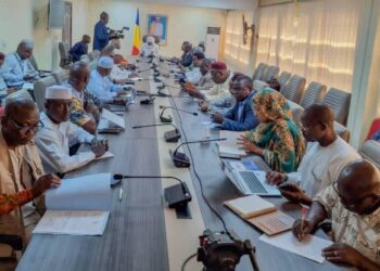 Tchad : Lutte contre le choléra, le ministre de la Santé publique accentue la riposte et la surveillance transfrontalière