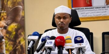 Tchad : Semaine nationale de l’arbre, le gouvernement dresse le bilan d’une mobilisation d&rsquo;envergure