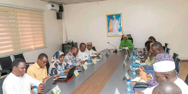 Tchad : Modernisation des transports, le ministère passe à la vitesse supérieure pour « Tchad Connexion 2030 »