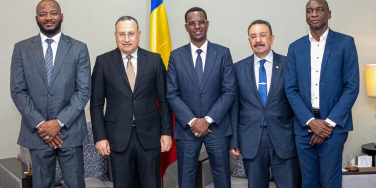 Commission Tchad-Égypte : renforcement du partenariat culturel